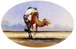 Spencer W Tart watercolour artist Middle East Camel